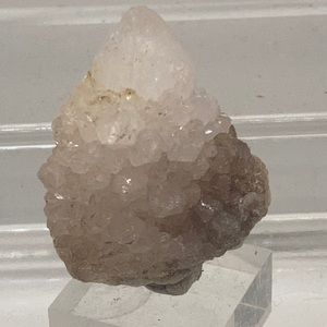Citrine Included Clear/White Spirit (Cactus) Quartz